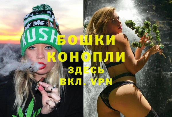 стаф Бронницы
