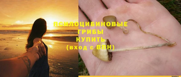 твердый Бородино