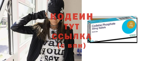 твердый Бородино