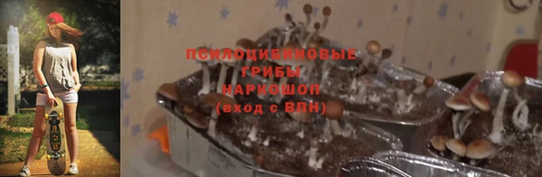 стаф Бронницы