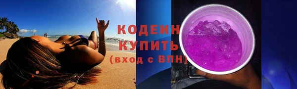 твердый Бородино