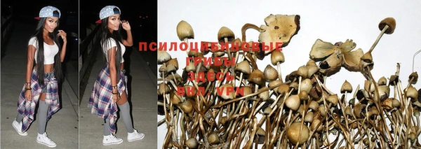 стаф Бронницы