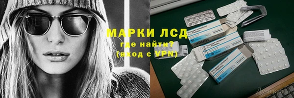 твердый Бородино