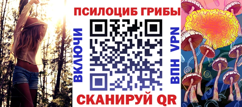 где найти наркотики  Бутурлиновка  Псилоцибиновые грибы Psilocybine cubensis 
